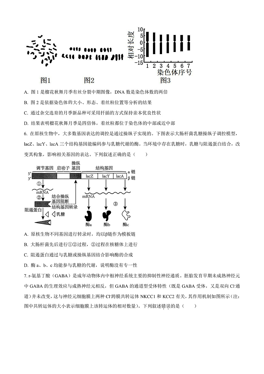 河北省石家庄市第一中学2025-2026学年高三上学期9月月考生物试题  Word版无答案第3页