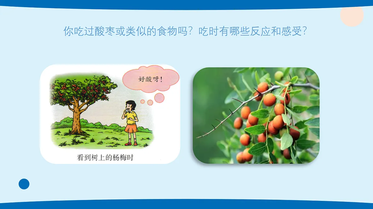 17382099第5页