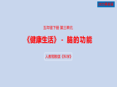 人教鄂教版五年级科学下册9.脑的功能（课件）