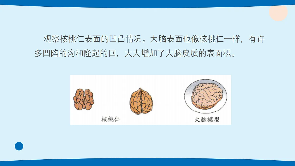 17382100第7页