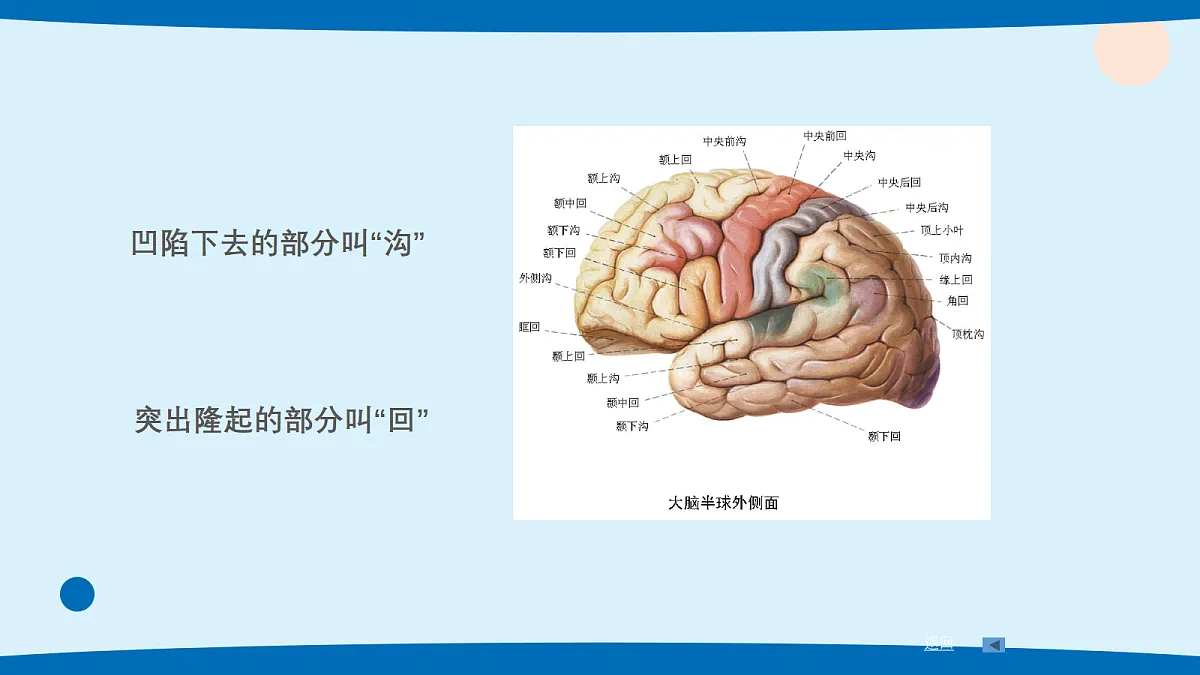 17382100第8页