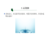 苏教版三年级科学上册 5 认识液体（教案+课件）
