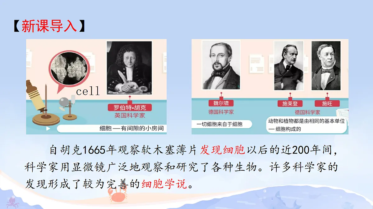17382733第3页