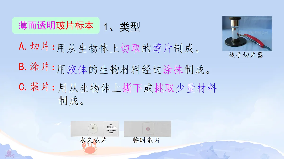 17382733第4页