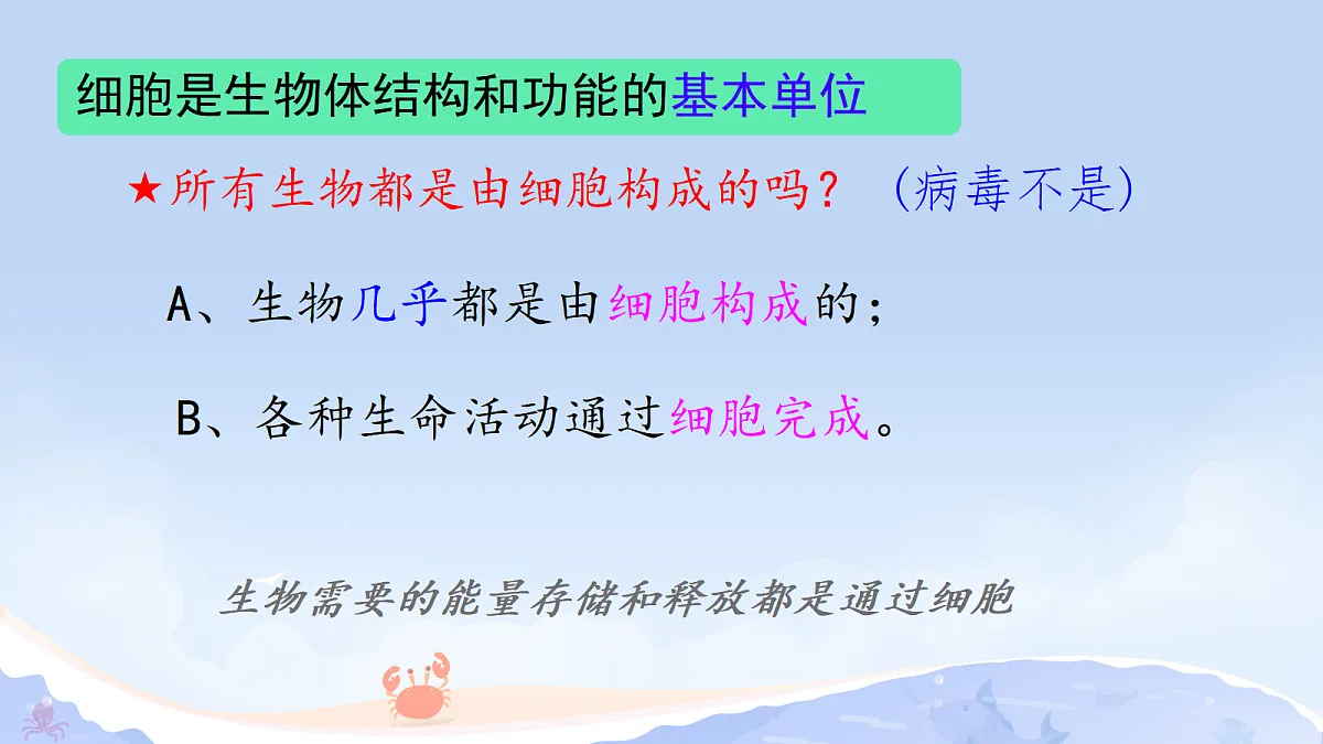 17382733第7页