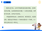 大象版五年级科学下册 2.5能量大转盘（教案+课件）