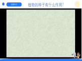 大象版三年级科学下册 3.5硕果累累（教案+课件）