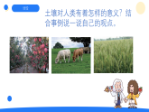 大象版三年级科学下册 4.5保护土壤（教案+课件）