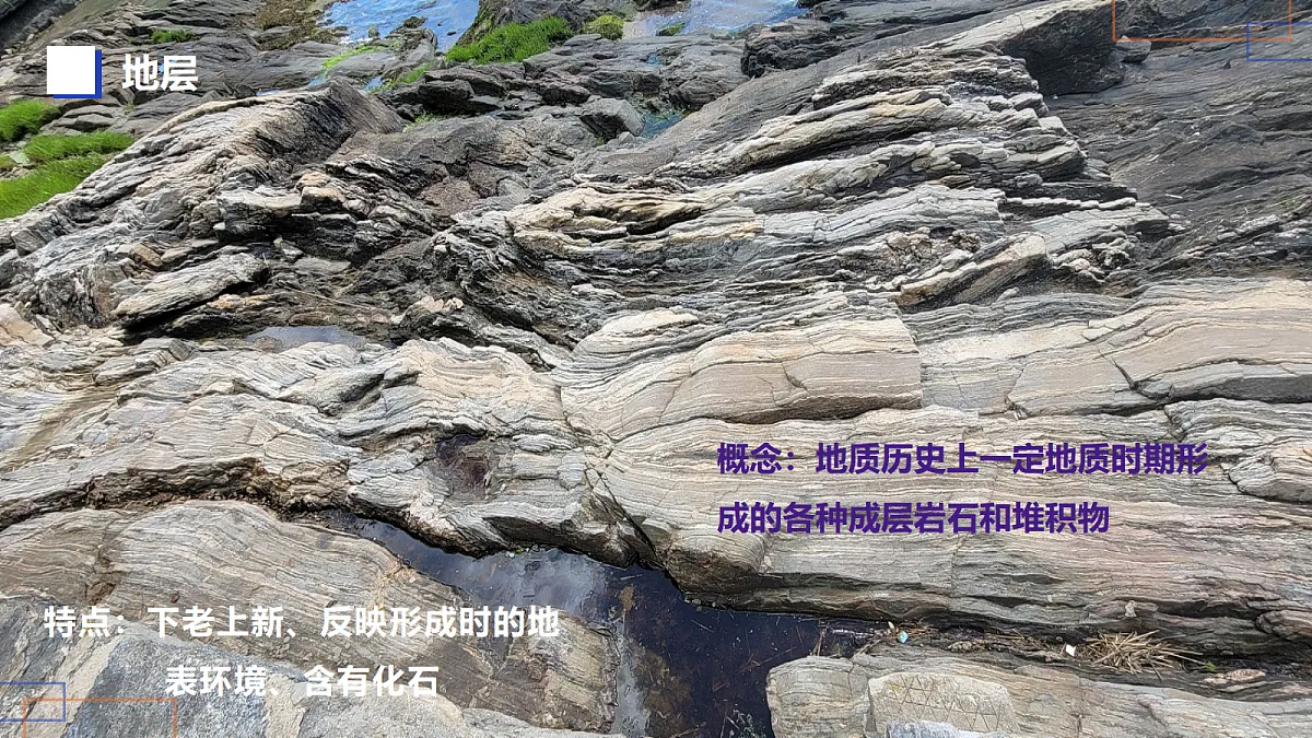 17383416第7页