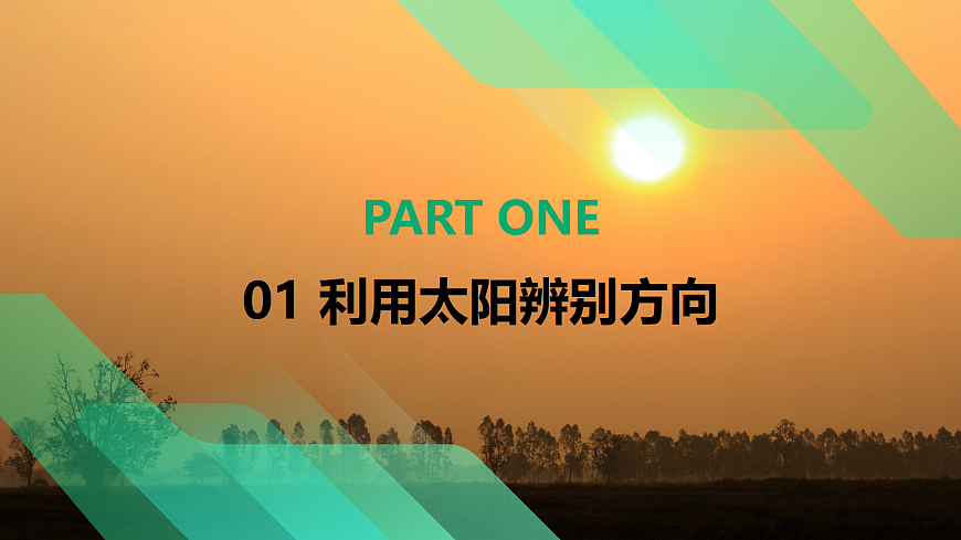 17383419第6页