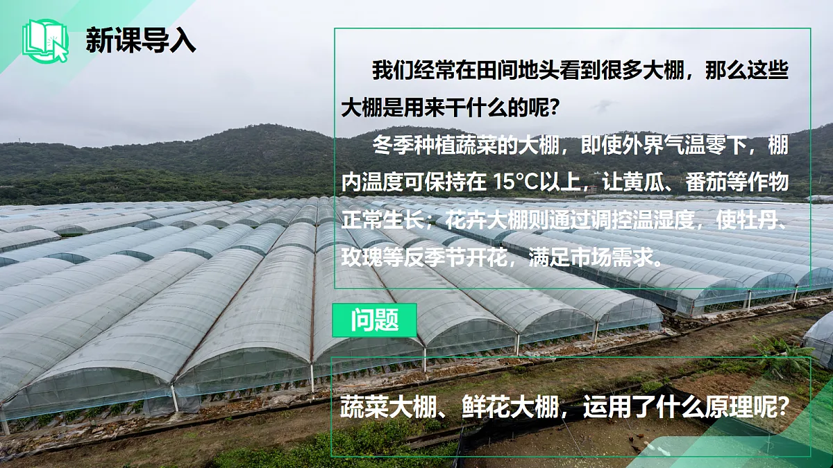 17383421第2页
