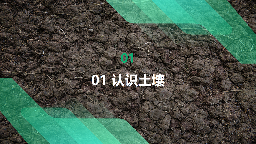17383432第6页