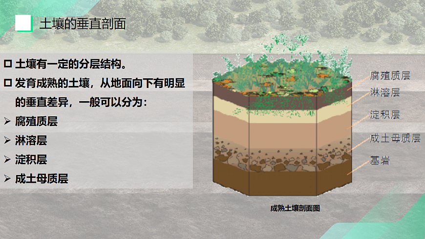 17383432第8页