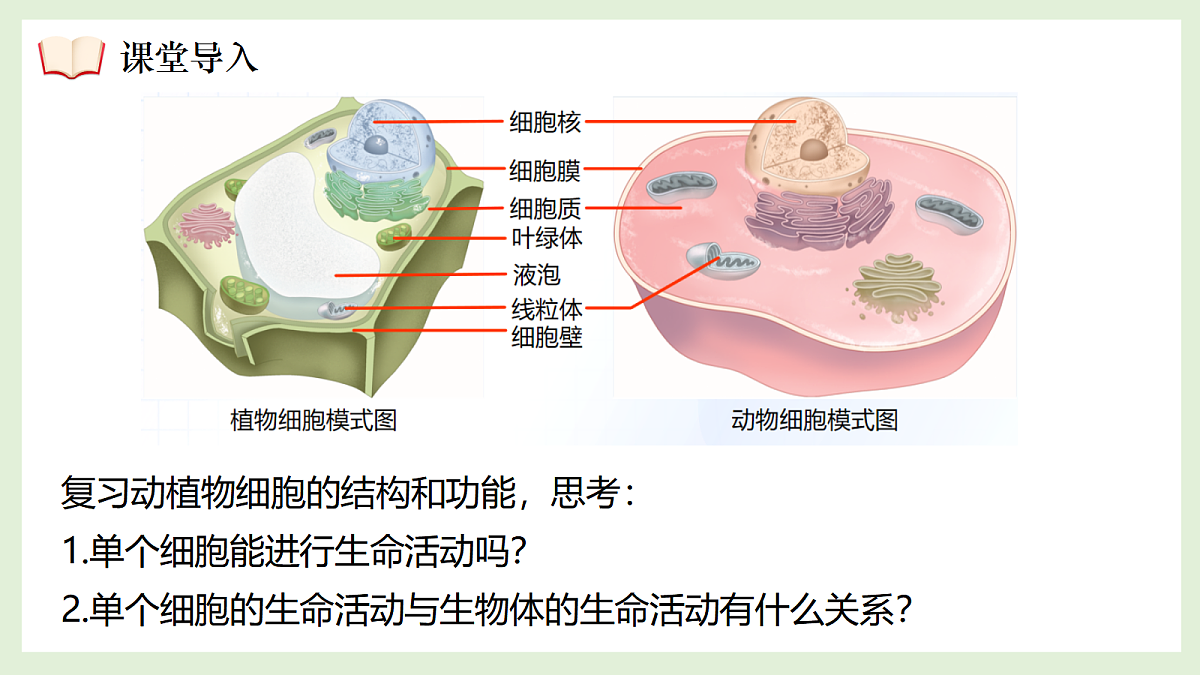 17383445第5页