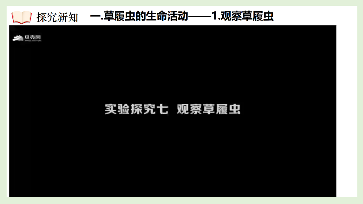 17383445第7页