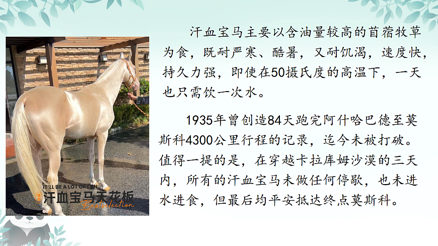 17383695第5页