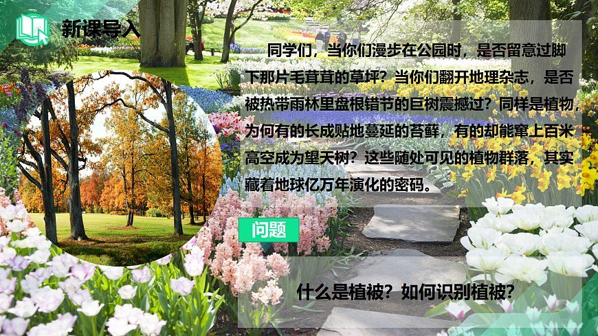 17383976第2页