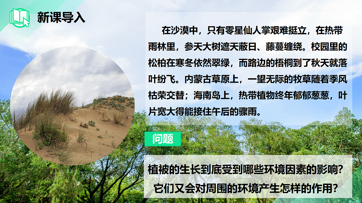 17383977第2页