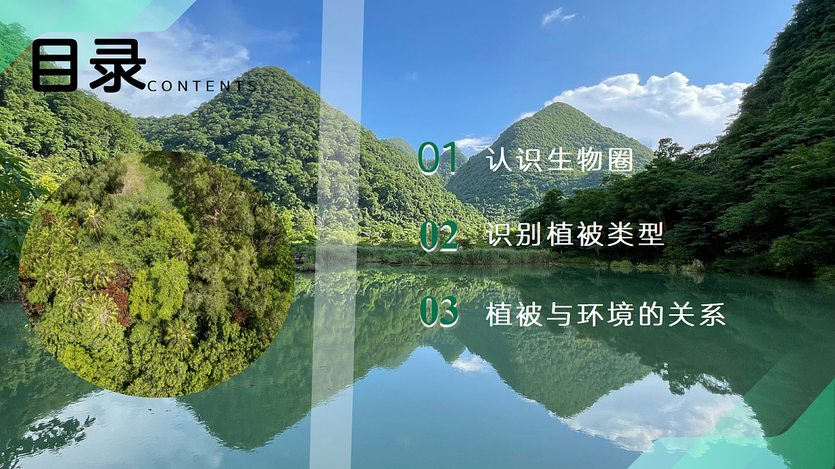 17383977第5页