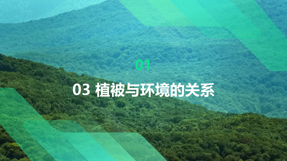 17383977第6页