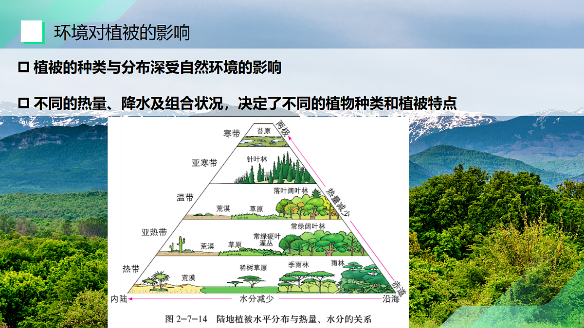 17383977第7页