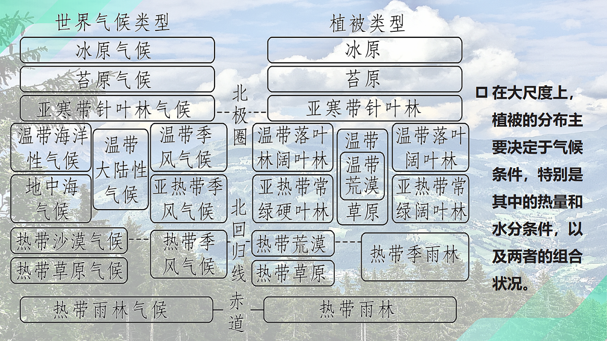 17383977第8页