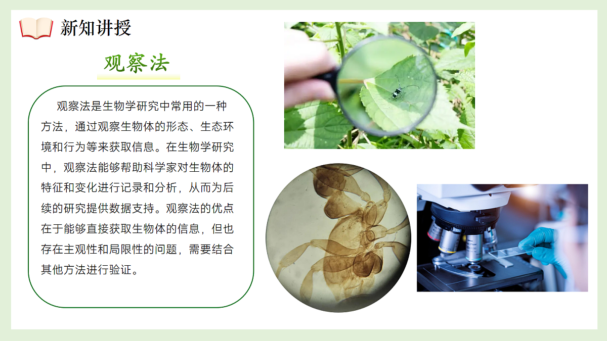 17384018第8页
