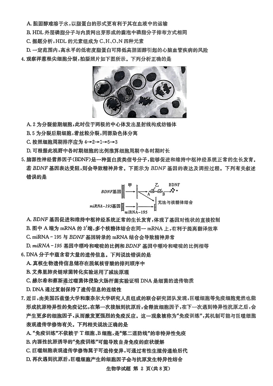 生物试卷-湖南省2026届高三九校联盟第一次联考第2页