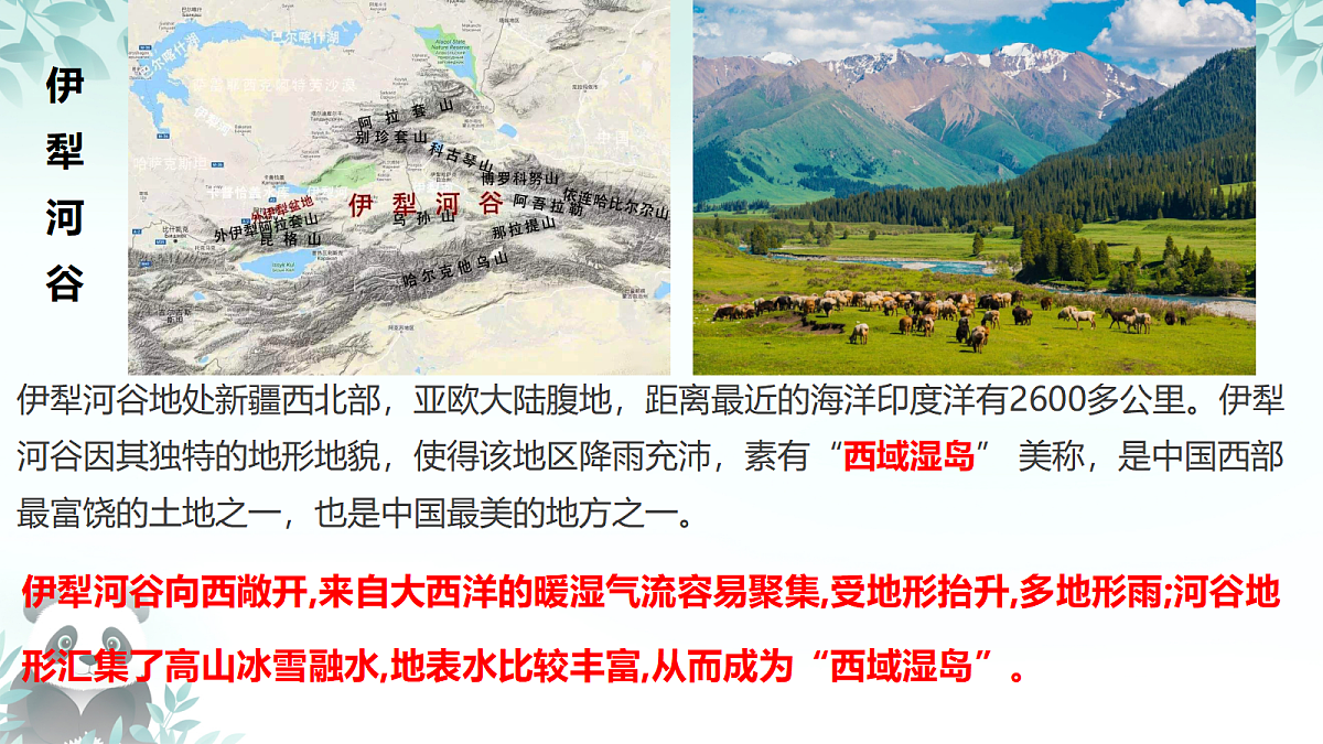 17384524第8页