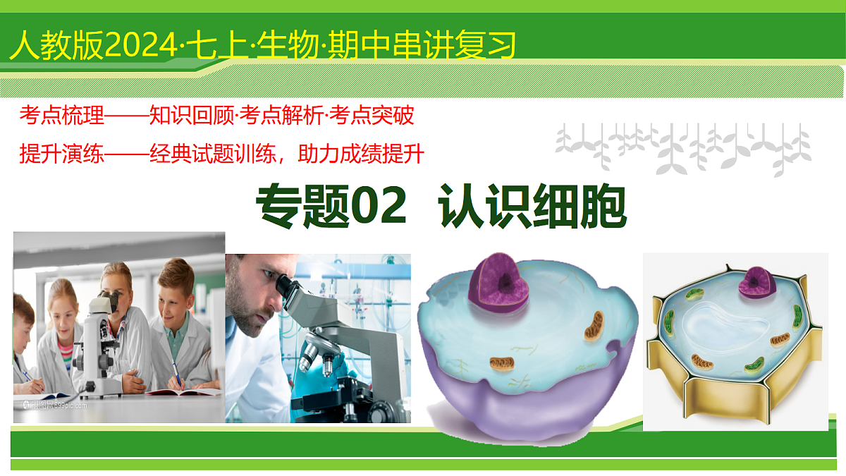 17384529第1页