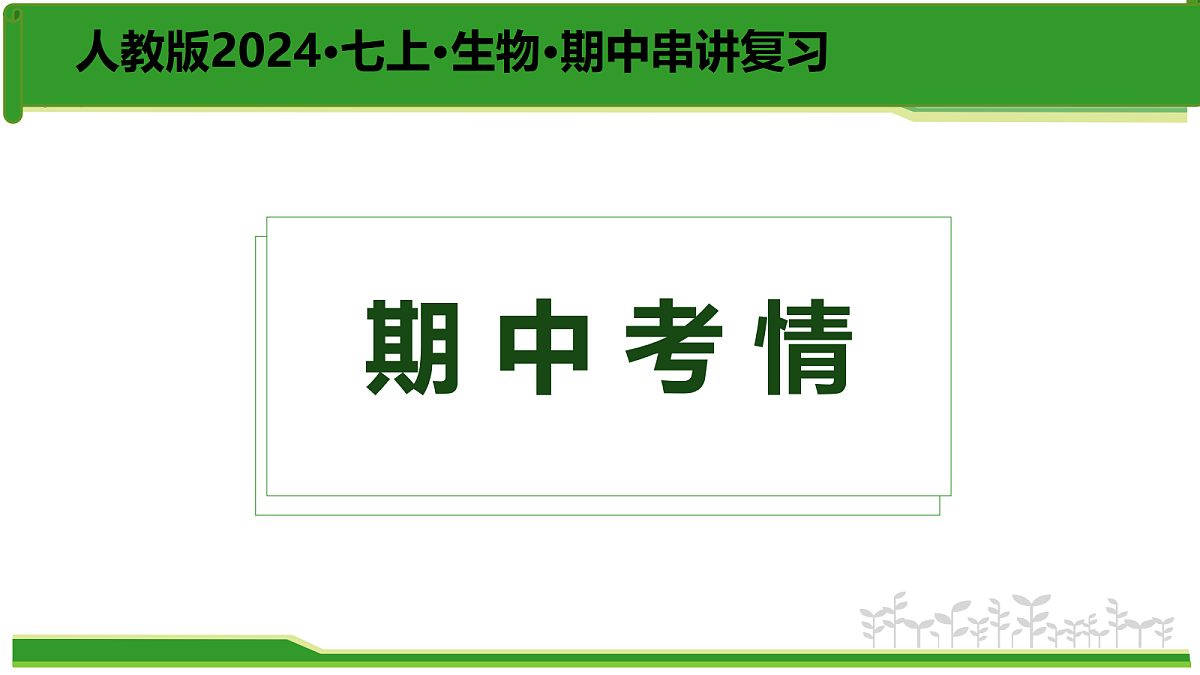 17384529第2页