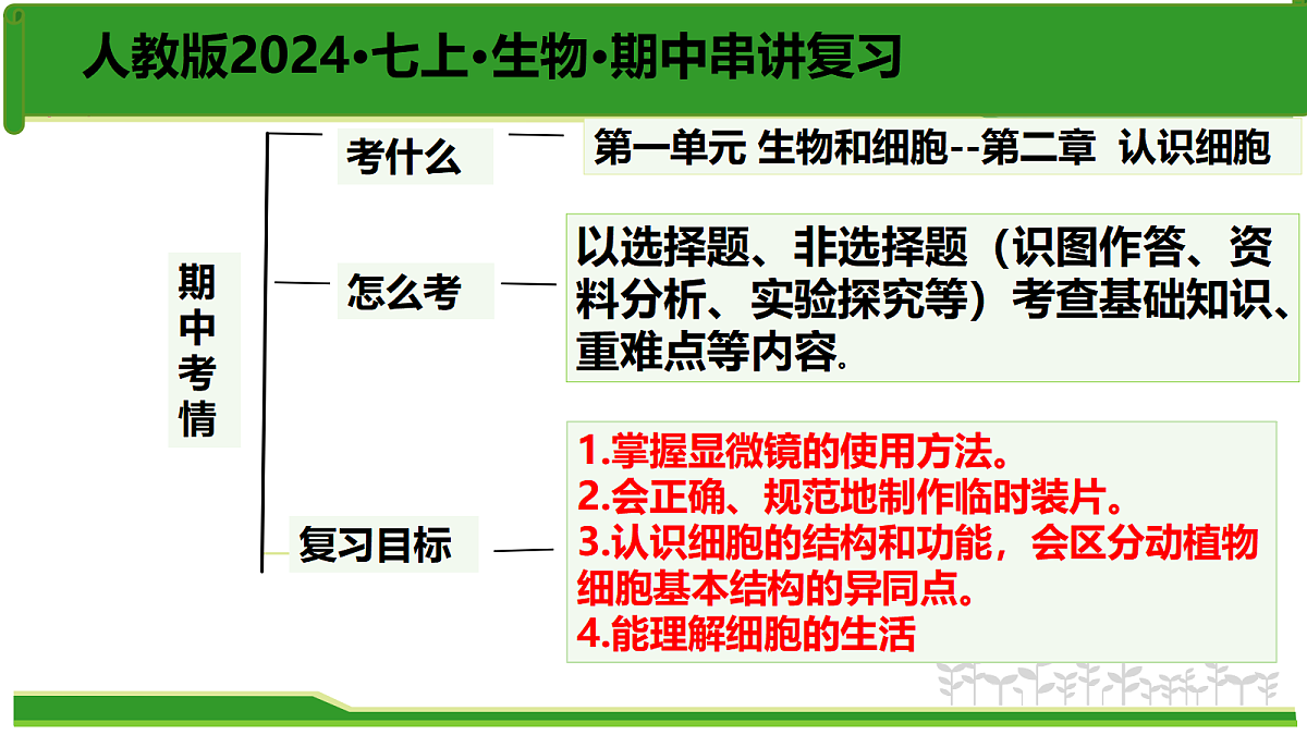 17384529第3页