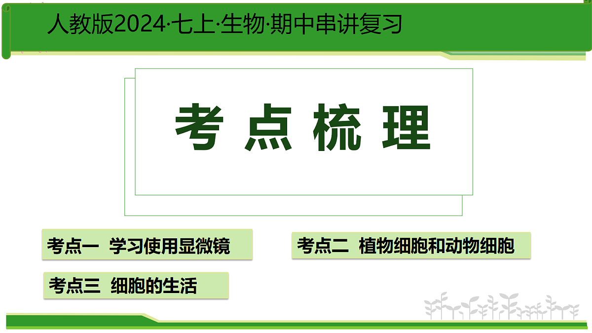 17384529第4页
