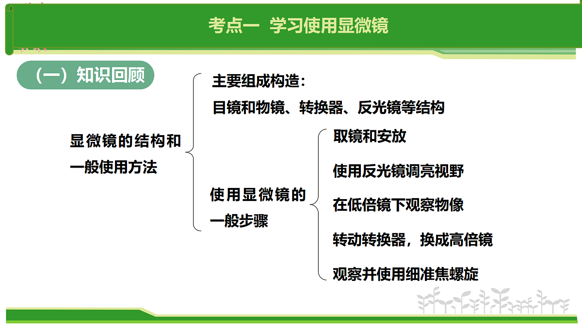 17384529第5页
