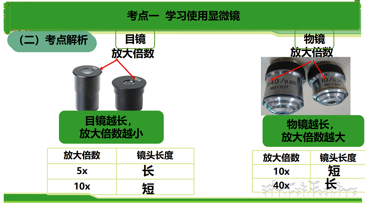 17384529第7页