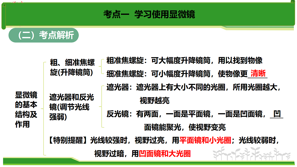 17384529第8页