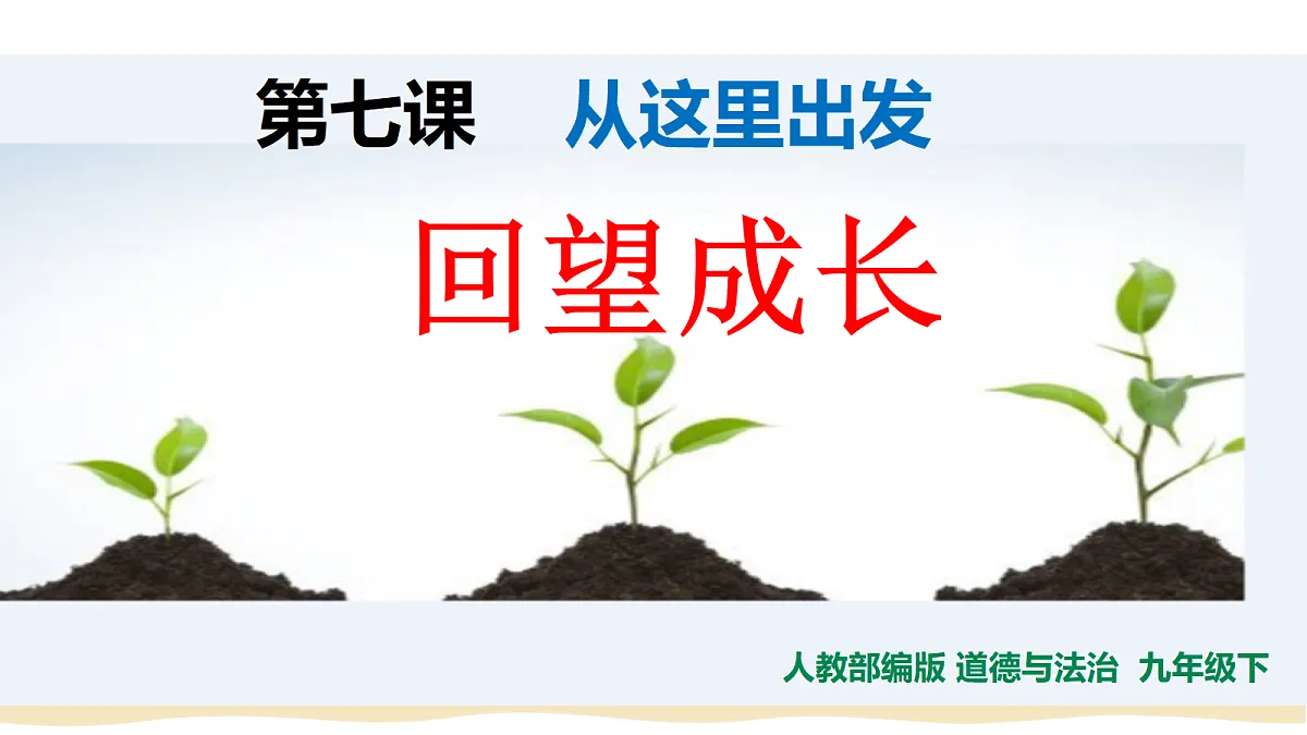 17384736第3页