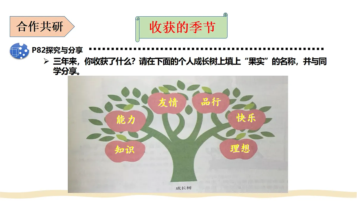 17384736第5页