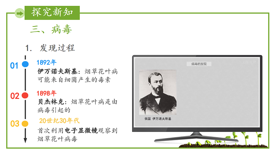 17384969第5页
