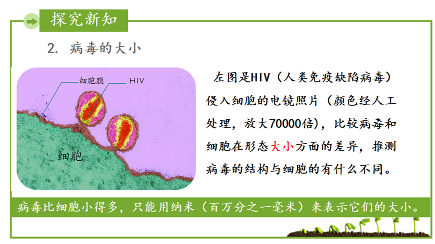 17384969第6页