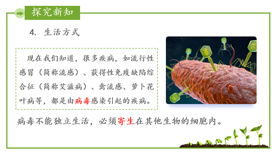 17384969第8页