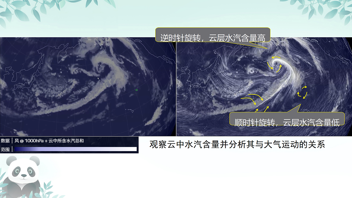 17385349第8页