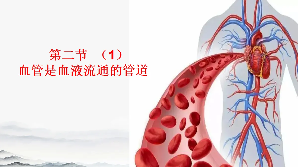 17385875第1页