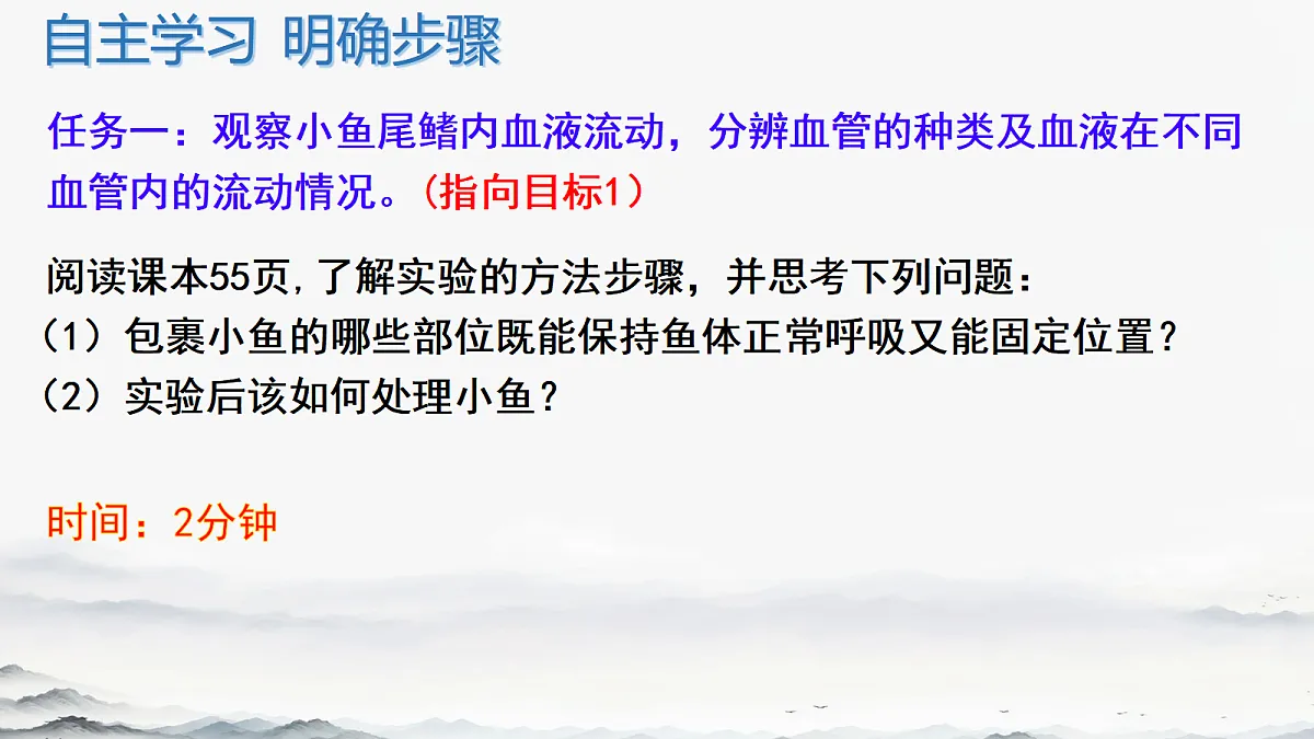 17385875第5页