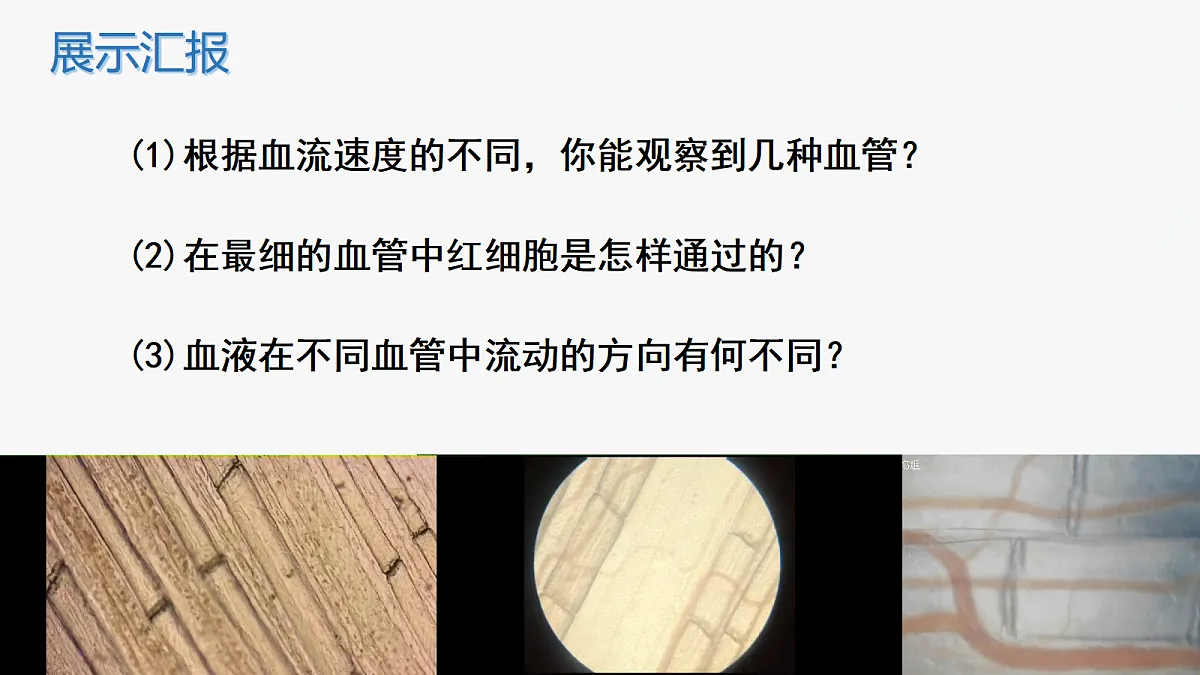 17385875第7页