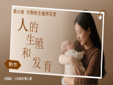 15.1 人的生殖和发育(课件)2025-2026学年北师大生物八年级上册