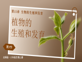 15.3 植物的生殖方式(课件)2025-2026学年北师大生物八年级上册
