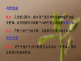 15.3 植物的生殖方式(课件)2025-2026学年北师大生物八年级上册