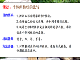 16.1 遗传和变异现象(课件)2025-2026学年北师大生物八年级上册