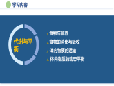 第4章 代谢与平衡（培优复习课件）-2025-2026学年九年级科学上册（浙教版）